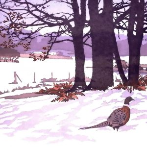 First Light - Square Christmas Card