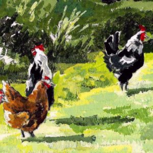 Cocks & Hen - Notelets