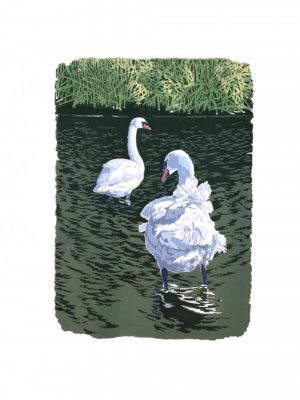 Feathers & Light - Studio Print