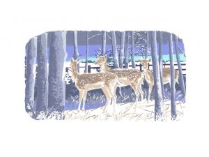 First Winter - Studio Print