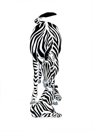 Zebras - Studio Print
