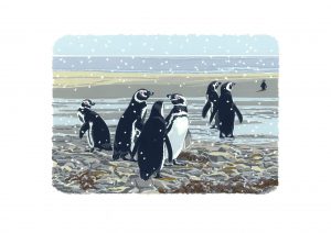 Snowy Magellanics - A3 Landscape Studio Print