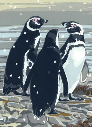 Fancy a Swim? Pack of 5 Christmas Cards