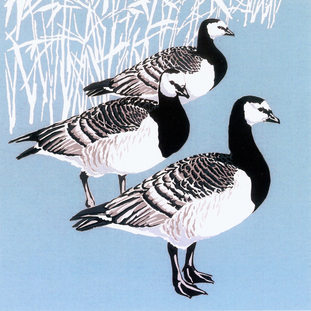 Barnacle Geese - Pack of 5 Square Christmas Cards