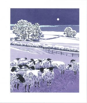 Flocks By Night - 140x170mm Blank Card