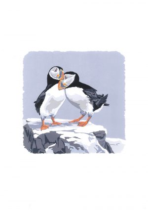 Puffin Love-In - Portrait Studio Print