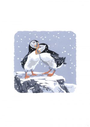 Snowy Puffins - Portrait Studio Print