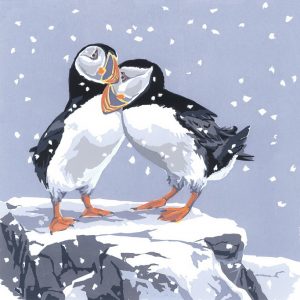 Snowy Puffins - Pack of 5 Square Christmas Cards