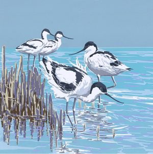 Avocets in the Shallows - Single 150mm Square Blank Card