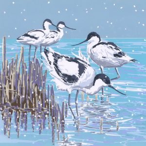 Snowy Avocets - 125mm Square Christmas Card Pack