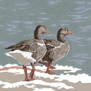 SR19 Greylag Geese - Square Blank Card