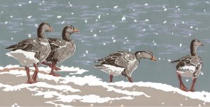 SR19DLX - Christmas Greylags - Landscape Christmas Cards