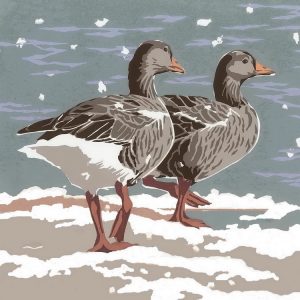 SR19X Winter Geese - Square Christmas Card