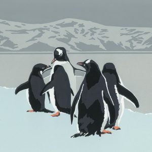 WW30 Gentoo Family - Square Blank Card