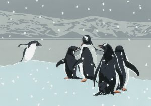 WW30LX Gentoo Christmas Card
