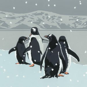 WW30X Snowy Gentoos - Square Christmas Cards