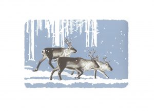 SP53 Heading North - A2 Landscape Studio Print