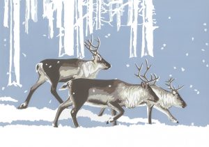 WW Heading North Christmas Card A5