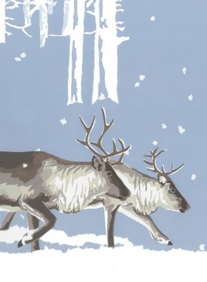 WW Into the Snow Christmas Cards 80x109mm