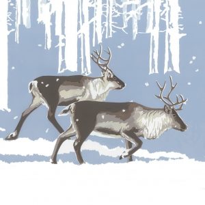 WW Winter Reindeer 150mm Square Christmas Card