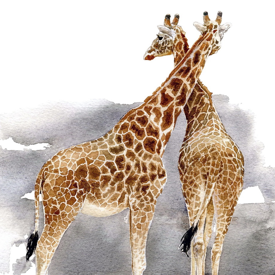 Portrait Original Watercolours