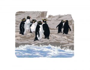WW Rockhoppers II Studio Print 40x50cm