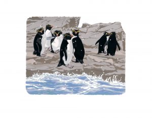 WW Winter Rockhoppers Studio Print 40x50cm
