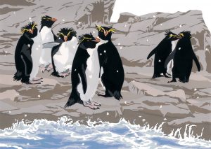 WW Winter Rockhoppers Christmas Card A5