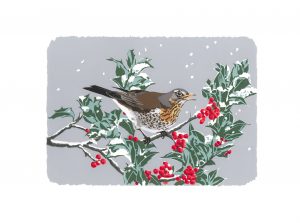 WF Winter Visitor A3 Studio Print
