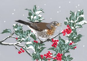 WF Winter Visitor Christmas Card A5