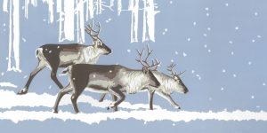 WW Heading North Poster 50x100cm
