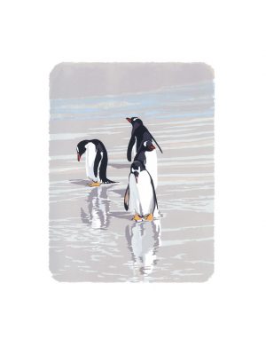 WW Gentoo Reflections Studio Print A2