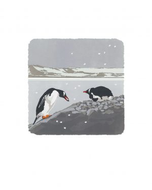 WW Love You, Gentoo Studio Print A3