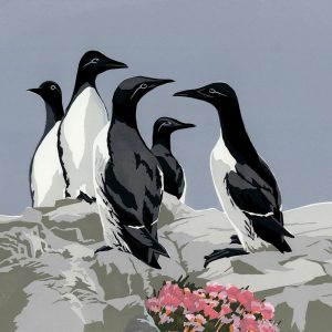 SR Guillemots & Thrift Blank Card 150mm sq
