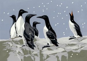 SR Winter Guillemots Christmas Card A5