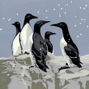 SR Snowy Guillemots Pack of Christmas Cards 125mm sq