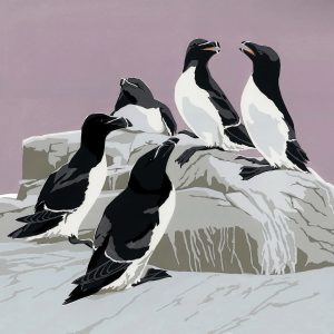SR Razorbills Blank Card 150mm sq