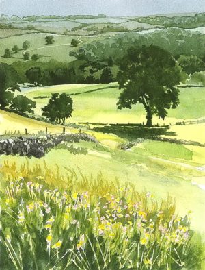 OS Summer Landscape A3 Fine Print