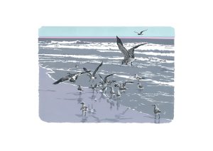 SR Beachcombers Studio Print A2