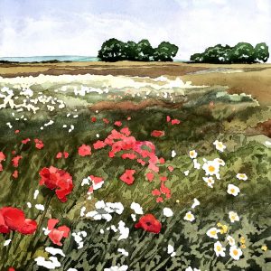 GC Poppyfield Blank Card 150mm sq