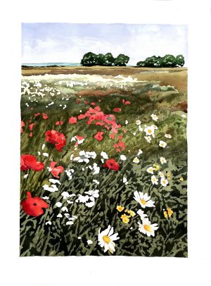 OS Poppyfield Watercolour
